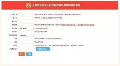 全國專業(yè)技術(shù)人員職業(yè)資格證書查詢驗證系統(tǒng)使用指南