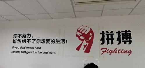 互聯(lián)網(wǎng)藥品信息服務資格證 上海與深圳的申請與管理差異解析